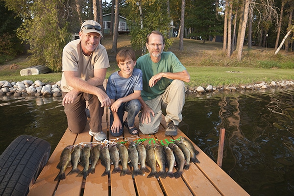 Two men and a boy pose with the days catch of walleyes
